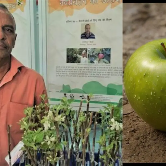 Hariman Sharma: The ‘Apple Man of India’ Revolutionising Indian Agriculture