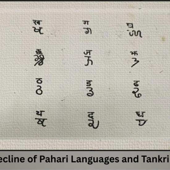 The Forgotten Tongues of Himachal: Endangered Pahari Languages and the Tankri Revival